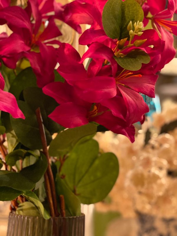 Vill sjasmin ( gardenia ) rosa 3